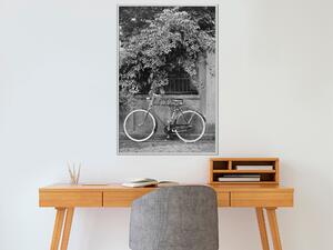 Artgeist Bicycle with White Tires Velikosti (šířkaxvýška): 20x30, Finální vzhled: Černý rám s paspartou