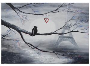 Ručně malovaný obraz Ptačí romantika v Paříži Rozměry: 70 x 100 cm