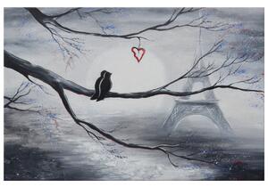 Ručně malovaný obraz Ptačí romantika v Paříži Rozměry: 120 x 80 cm