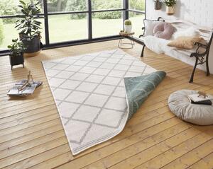 NORTHRUGS - Hanse Home koberce Kusový koberec Twin Supreme 103758 Corsica Green/Cream – na ven i na doma - 80x250 cm