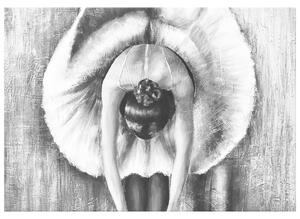 Ručně malovaný obraz Šedá rozcvička baletky Velikost: 70 x 100 cm