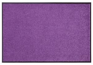 Hanse Home Collection koberce Rohožka Wash & Clean 103838 Violett - 40x60 cm