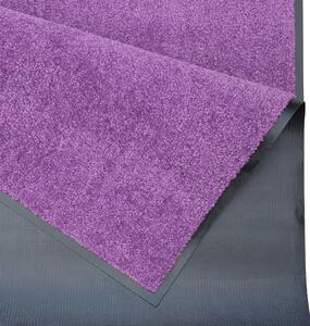 Hanse Home, Rohožka Wash & Clean 103838 Violett | Fialová Typ: 60x90 cm