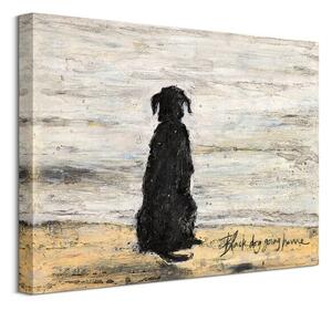 Art Group Obraz na plátně Black Dog Going Home Toft Sam Velikost: 40 x 30 cm