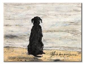 Art Group Obraz na plátně Black Dog Going Home Toft Sam Velikost: 40 x 30 cm
