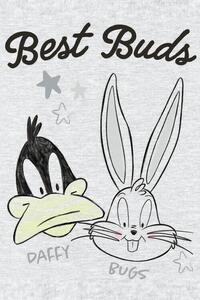 Umělecký tisk Daffy and Bugs, 26.7 × 40 cm