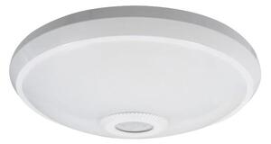 LED Stropní svítidlo se senzorem LED/12W/230V