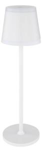 Globo 58433W - LED Stmívatelná dotyková stolní lampa RIDLEY LED/4,6W/230V IP54