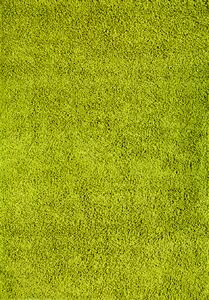 Mono Carpet Kusový koberec Efor Shaggy 1903 Green - 80x150 cm