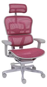 Grospol - Kancelářské křeslo Ergohuman 2 Elite GS Pink
