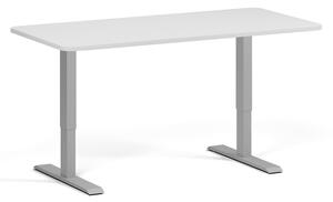 Polohovací stůl se zaoblenými rohy, 160x80 cm, 2 motory, šedá podnož, bílá