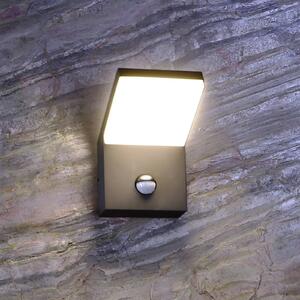 Venkovní nástěnné svítidlo LED Tucanae, šedé, výška 22 cm, IP54