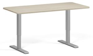 Polohovací stůl se zaoblenými rohy, 160x80 cm, 2 motory, šedá podnož, dub přírodní