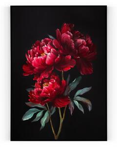 Plakát / Obraz Květ Pivoňky Bez okraje Pololesklý saténový papír 40 x 50 cm