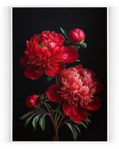 Plakát / Obraz Květ Pivoňky Bez okraje Napnuté plátno na dřevěném rámu 40 x 50 cm