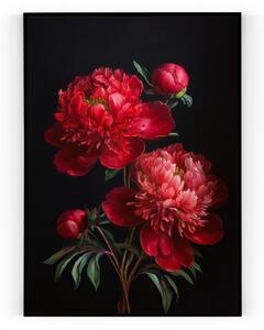 Plakát / Obraz Květ Pivoňky Bez okraje Napnuté plátno na dřevěném rámu 50 x 70 cm