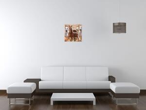 Obraz s hodinami Cválající koně Rozměry: 60 x 40 cm