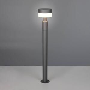Trio Lighting LED osvětlení cesty Mackenzie, výška 95 cm, antracitová, litá hliník, Černá, Hliník, Moderní