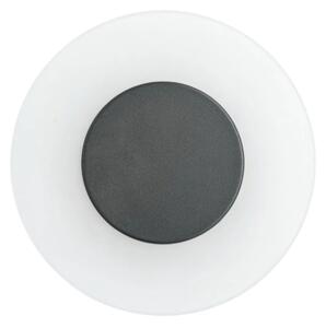 Paulmann 94409 - LED/4W IP44 Venkovní nástěnné svítidlo CIRCEA 230V