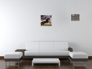 Obraz s hodinami Silný černý kůň Rozměry: 60 x 40 cm