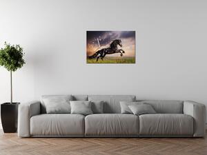 Obraz s hodinami Silný černý kůň Rozměry: 40 x 40 cm