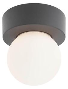 Redo 90641 - Venkovní stropní svítidlo BULK 1xE27/28W/230V IP44 antracit