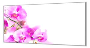 Skleněný kryt na stěnu květy fialové orchideje - 40x60cm / S lepením na zeď