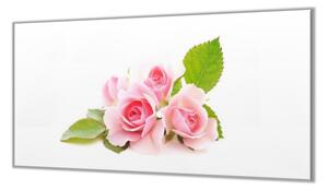 Ochranná deska květ růžové růže - 40x60cm / S lepením na zeď
