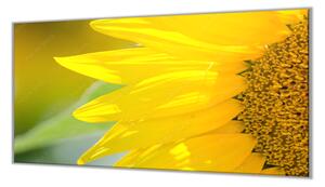 Krájecí podložka detail květ slunečnice - 40x40cm / Bez lepení na zeď