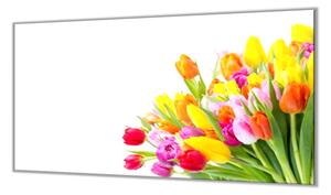 Ochranná deska květy barevné tulipány - 52x60cm / S lepením na zeď