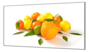 Ochranná deska ovoce citron a pomeranč - 52x60cm / S lepením na zeď