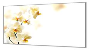 Ochranná deska květy žluté orchideje - 52x60cm / S lepením na zeď