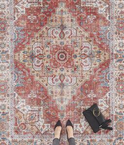Nouristan - Hanse Home Kusový koberec Asmar 104013 Brick/Red Typ: 200x290