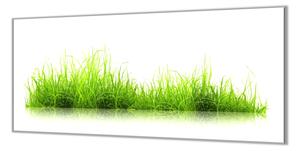 Ochranná deska zelená tráva na bílém podkladu - 52x60cm / Bez lepení na zeď