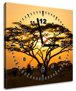 Obraz s hodinami Akácie v Serengeti Rozměry: 40 x 40 cm