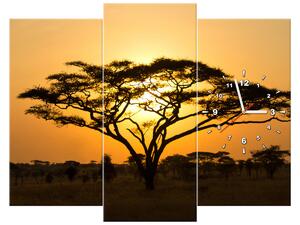 Obraz s hodinami Akácie v Serengeti - 3 dílný Rozměry: 90 x 70 cm