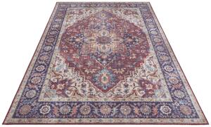 Nouristan - Hanse Home koberce Kusový koberec Asmar 104000 Plum/Red - 120x160 cm