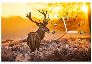 Obraz s hodinami Silný jelen Rozměry: 30 x 30 cm