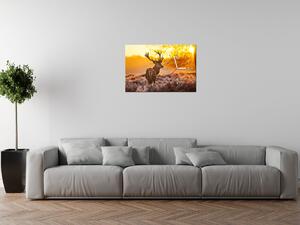 Obraz s hodinami Silný jelen Rozměry: 60 x 40 cm