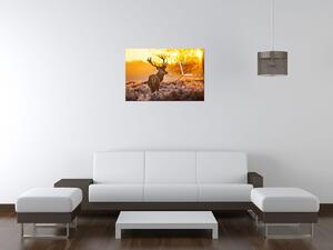 Obraz s hodinami Silný jelen Rozměry: 100 x 40 cm