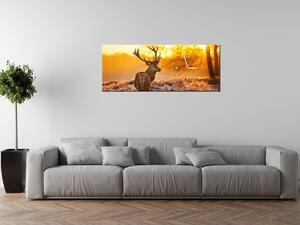 Obraz s hodinami Silný jelen Rozměry: 100 x 40 cm