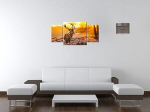 Obraz s hodinami Silný jelen - 3 dílný Rozměry: 80 x 40 cm