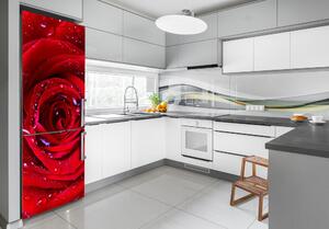 Nálepka fototapeta lednička Červená růže FridgeStick-70x190-f-100979783
