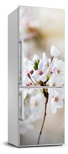 Samolepící nálepka na ledničku Květy višně FridgeStick-70x190-f-100965392