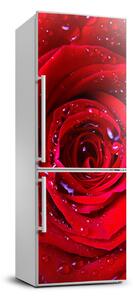 Nálepka fototapeta lednička Červená růže FridgeStick-70x190-f-100979783