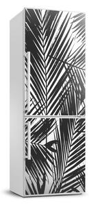 Fototapeta samolepící na ledničku Listy palmy FridgeStick-70x190-f-101389703