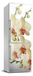 Nálepka fototapeta lednička Orchidej FridgeStick-70x190-f-102443917