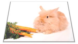 Skleněné prkénko domácí králíček s mrkví - 30x20cm