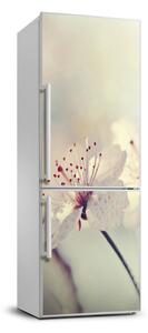 Samolepící nálepka na ledničku Květy višně FridgeStick-70x190-f-102906126