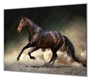 Ochranná deska černý kůň klusající v prachu - 40x40cm / S lepením na zeď